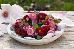 Wreath of Bellis, forget-me-nots and magnolia