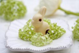 A chocolate bunny and viburnums on a plate