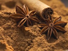 Star anise and cinnamon stick on ground cinnamon