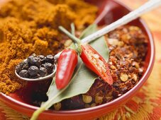 Gewürze für Fleischgerichten (Chili und Lorbeerblatt)