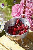 Fresh cherries in a colander with water being poured over them