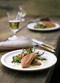 Gebratene Rotbarbe auf Brot mit bunten Linsen und Salat