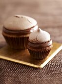 Chocolate hazelnut cupcakes