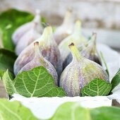 Fresh figs with leaves in box