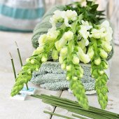 White snapdragons on towels, incense sticks