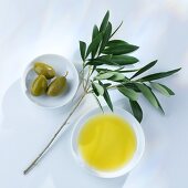 Olives, olive branch and olive oil