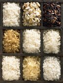 Verschiedene Reissorten im Setzkasten (Draufsicht)