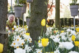 Blondes Mädchen im Garten zwischen Narzissen und Tulpen