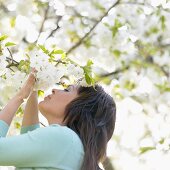 Woman smelling white blossom on tree