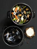 Rhineland style mussel stew (with carrots, onions, bay leaves)