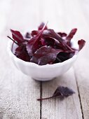 Beetroot leaves in a small bowl