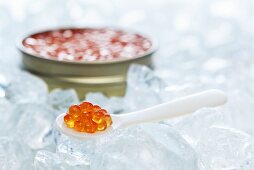 Trout caviar on spoon in front of tin