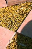 Paving detail with pink pavers and triangular shaped ochre gravel