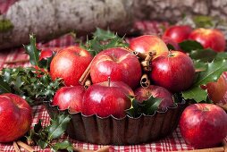 Bowl of red apples, cinnamon sticks, holly (Christmas)