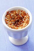 Cress seeds germinating in an egg cup