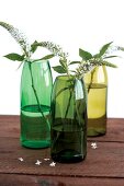 Grüne Flaschen als Blumenvasen