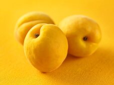 Three apricots on yellow background