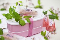 Bentobox und Süssigkeiten zwischen Kirschblüten (Japan)