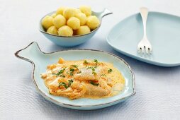 Fish fillet with onions and sour cream & paprika sauce