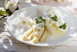 White asparagus with pieces of set chervil yoghurt