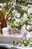 Rhubarb and apple blossom on tray