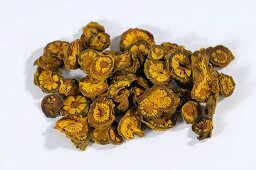 Goldfadenwurzel (Huang Lian, China)