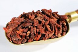 Dried goji berries in scoop