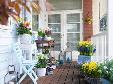 Verschiedene Frühlingsblumen in Töpfen auf einem Holzbalkon