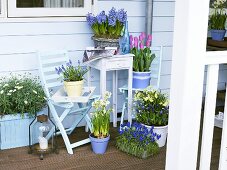 Various spring flowers in pots on a balcony