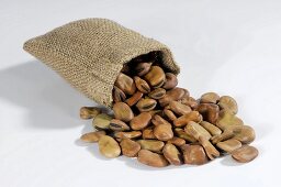 Broad beans spilling out of hessian sack