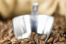 Roasted coffee beans with metal scoop (close-up)