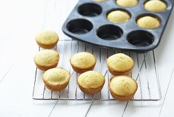 Muffin tin with cupcakes
