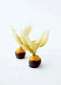 Chocolate-dipped physalis