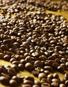 Coffee beans on gold background