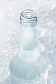 Vodka in icy bottle