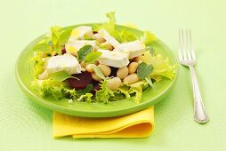 Salad leaves with beetroot, white beans and goat's cheese