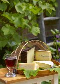 Various cheeses on tray in garden