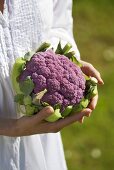Woman holding purple cauliflower