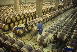 Cleaning wine barrels, Chateau Margaux, Medoc, France