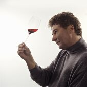 Optische Prüfung von Farbe und Klarheit des Weines
