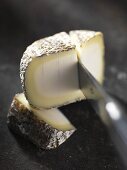 Cabri de Sologne (goat's cheese from France)