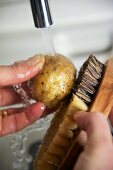 Potatoes being washed with a brush under running water