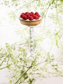 Tarte mit weisser Schokolade und Himbeeren