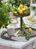 Lemons in pedestal dish on tray