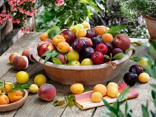 Peaches, nectarines, plums and apricots in terracotta bowl