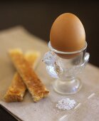 Boiled egg and soldiers (strips of toast, England)