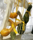 Squashes with place cards