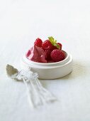 Raspberry ice cream and fresh raspberries