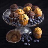 Mini-Muffins mit Schokolade und Heidelbeeren