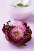 Elderberries and dahlias in red cabbage leaf